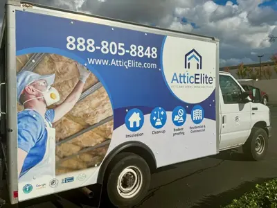 vehicle graphics Photo
